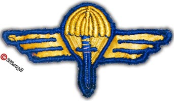 סמל המצנח המכונף: כנפי צניחה של שנת 1949